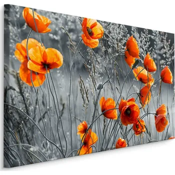 Plátno Krásné Luční Máky Varianta: 40x30