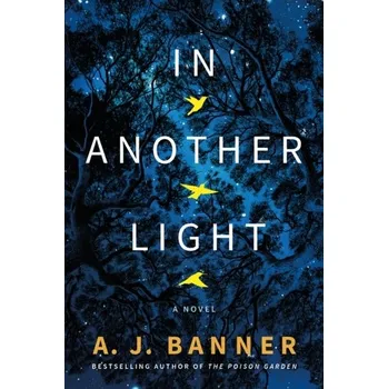 In Another Light - Banner, A. J.