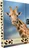 Karton P+P Box na sešity A4 Jumbo, Žirafa
