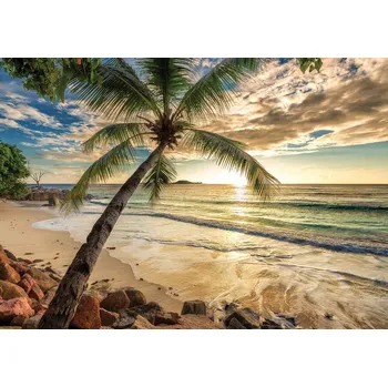 Fototapeta Postershop Fototapeta vliesová: Tropický ráj (2) - 368x254 cm