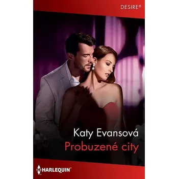 Kniha Probuzené city Ekniha