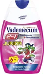 Vademecum Zubní pasta 2v1 Junior 75 ml