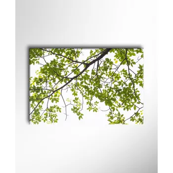 Obraz Malvis ® Obraz větev stromu ROZMĚR (šířka x výška): jednodílný obdélník 60x40 cm