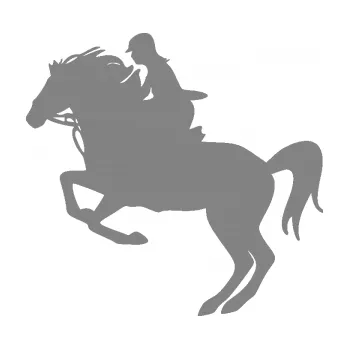 Samolepící dekorace SAMOLEPKA Kůň 091 levá skok (17 - šedá) NA AUTO, NÁLEPKA, FÓLIE, POLEP, TUNING, VLASTNÍ TEXT, TISK, AUTOSAMOLEPKY.cz, POLEPY, OBRÁZEK, LOGO, SAMOLEPKY