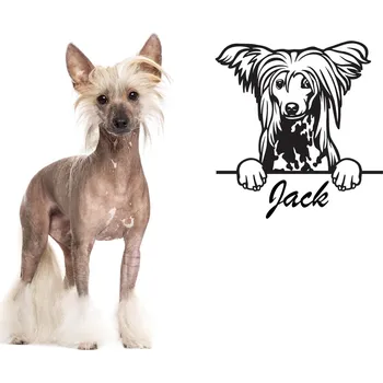 Vsepropejska Čínský chocholatý pes dřevěná dekorace na zeď Rozměr (cm): 17 x 18, Typ: Čínský 1