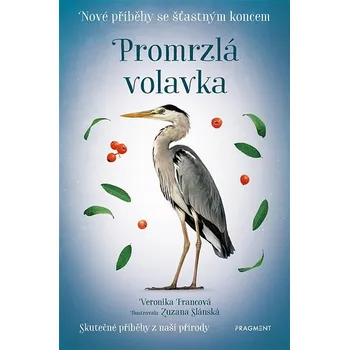 Kniha Nové příběhy se šťastným koncem – Promrzlá volavka Ekniha