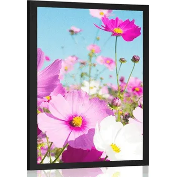 Plakát Dovido Plakát louka jarních květin