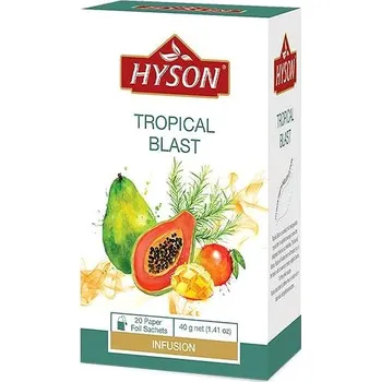 Čaj Hyson Tropical Blast, ovocný čaj (20 sáčků)