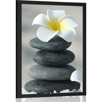Plakát Dovido Plakát harmonické kameny a květ plumerie