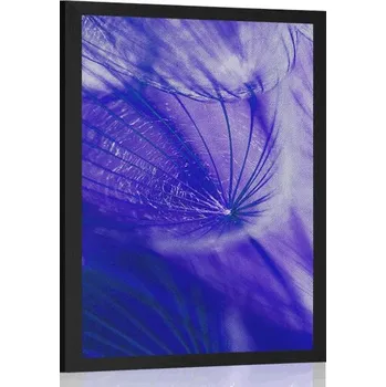 Plakát Dovido Plakát krásná pampeliška v fialovém provedení