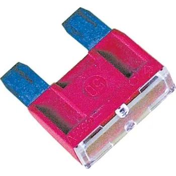 Autopojistky REIMO Maxi pojistka 100A (1 ks)