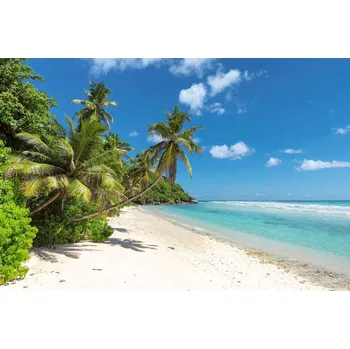 Fototapeta DIMEX | Vliesová fototapeta Palmy na tropickém ostrově MS-5-3216 | 375 x 250 cm | zelená, modrá, bílá + Vliesová fototapeta na stěnu DIMEX Palmy na tropickém ostrově MS53216 v rozměru 375 x 250 cm + lepidlo zdarma