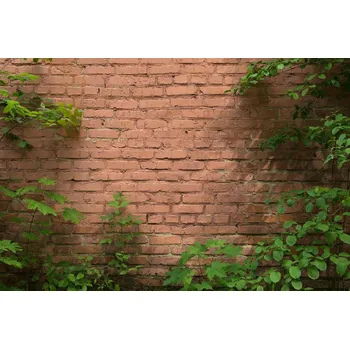 Fototapeta DIMEX | Vliesová fototapeta Zarostlá cihlová zeď MS-5-2664 | 375 x 250 cm | zelená, červená + Vliesová fototapeta na stěnu DIMEX Zarostlá cihlová zeď MS52664 v rozměru 375 x 250 cm + lepidlo zdarma