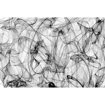 Fototapeta DIMEX | Vliesová fototapeta Kouřový motiv MS-5-2514 | 375 x 250 cm | bílá, černá + Vliesová fototapeta na stěnu DIMEX Kouřový motiv MS52514 v rozměru 375 x 250 cm + lepidlo zdarma