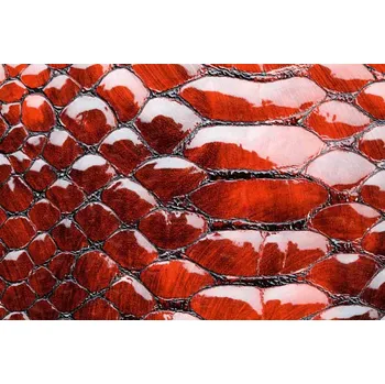 Fototapeta DIMEX | Vliesová fototapeta Červená hadí kůže MS-5-2587 | 375 x 250 cm | červená + Vliesová fototapeta na stěnu DIMEX Červená hadí kůže MS52587 v rozměru 375 x 250 cm + lepidlo zdarma