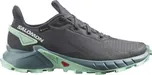 Salomon Alphacross 4 GTX L47066800