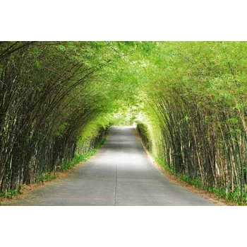 Fototapeta DIMEX | Vliesová fototapeta Bambusová cesta MS-5-1881 | 375 x 250 cm| zelená, šedá + Vliesová fototapeta na stěnu DIMEX Bambusová cesta MS51881 v rozměru 375 x 250 cm + lepidlo zdarma