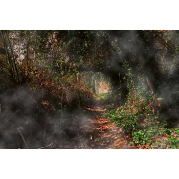 Fototapeta DIMEX | Vliesová fototapeta Tajemná cesta lesem MS-5-1872 | 375 x 250 cm| zelená, černá, hnědá, šedá + Vliesová fototapeta na stěnu DIMEX Tajemná cesta lesem MS51872 v rozměru 375 x 250 cm + lepidlo zdarma
