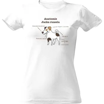 Dámské tričko Tričko s potiskem Anatomie jacka russela dámské