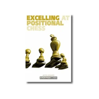 Šachy Excelling at Positional Chess: How the Best Players Plan and Manoeuvre