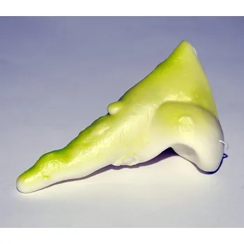 Karnevalový doplněk Nos čarodějnický