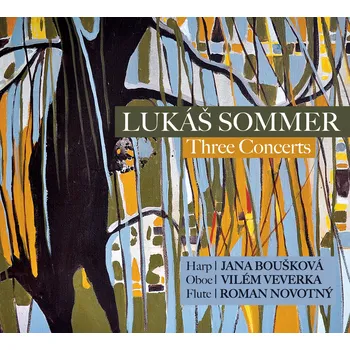 Lukáš Sommer: Three Concerts