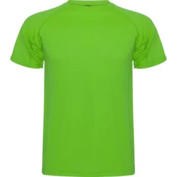 Pánské tričko ROLY pánské sportovní tričko MONTECARLO, světlá pistácie - XL