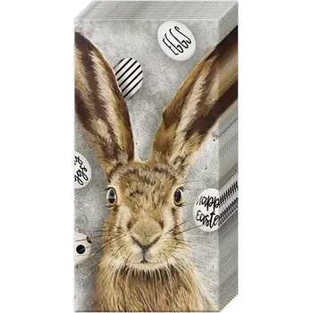 Kapesníčky Zajíc a velikonoční vajíčka (Kapesníky zajíček)