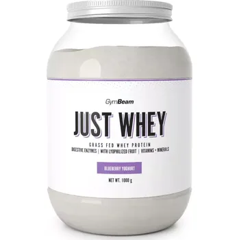 Protein GymBeam Just Whey 1000 g, Blueberry Yoghurt