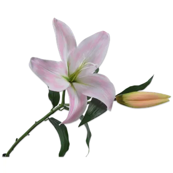 umělá květina Umělé květina, Lilie-lilium růžová V69 cm