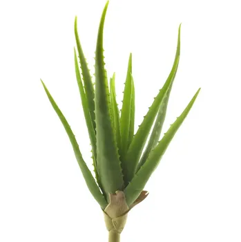 umělá květina umělá rostlina, Aloe vera zelená V41