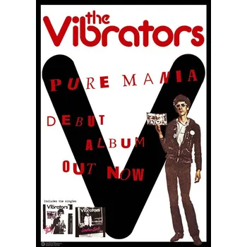 Plakát Plakát, Obraz - Vibrators - Pure Mania