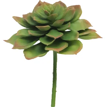 umělá květina Umělý sukulent, Echevérie - Dužnatka Gourin zelená 17 cm (N314431)