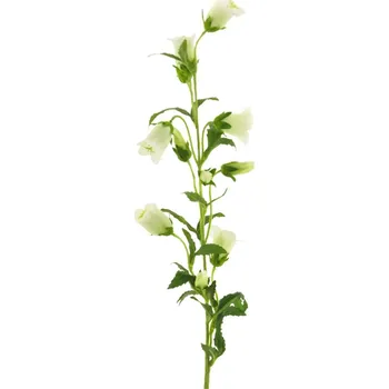 umělá květina Umělé květina, Zvonek - Campanula medium krémový 88 cm