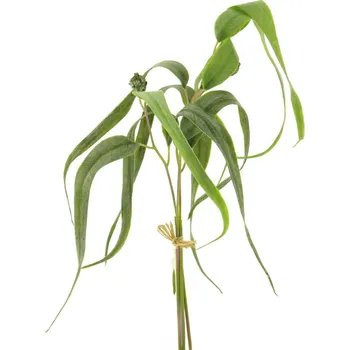 umělá květina umělá větev, Vrba svazek x3 s zrnem zelená 60 cm