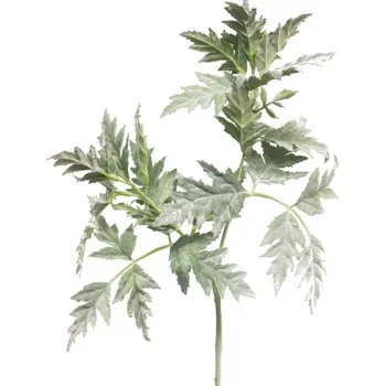 umělá květina Umělá rostlina, Petrželka kráva - Cow parsley zelená V70 cm