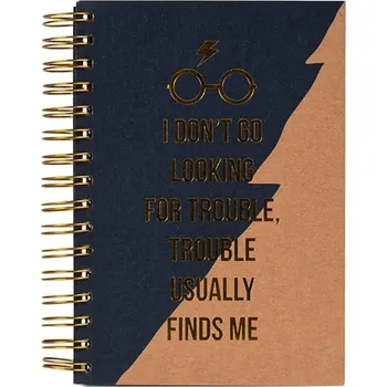 Zápisník Zápisník Harry Potter - Trouble Finds Me