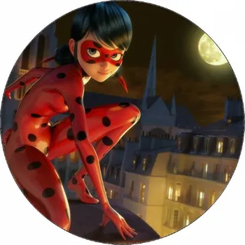 Jedlá dekorace na dort Jedlý papír Beruška na střeše 19,5 cm