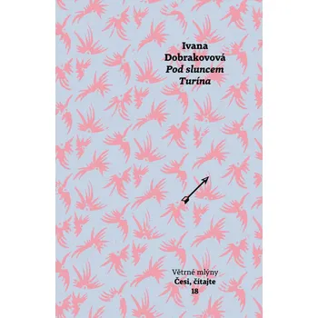 Pod sluncem Turína - Ivana Dobrakovová