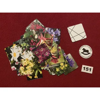 Karetní hra HandMade by VeJa Pexeso vel.L č.151 - Trvalky (36kousků)