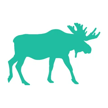 Samolepící dekorace SAMOLEPKA Los 008 pravá (25 - tyrkysová) NA AUTO, NÁLEPKA, FÓLIE, POLEP, TUNING, VLASTNÍ TEXT, TISK, AUTOSAMOLEPKY.cz, POLEPY, OBRÁZEK, LOGO, SAMOLEPKY