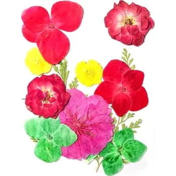 PourArt Sušené květiny SADA HAR-329 arch 120x80mm