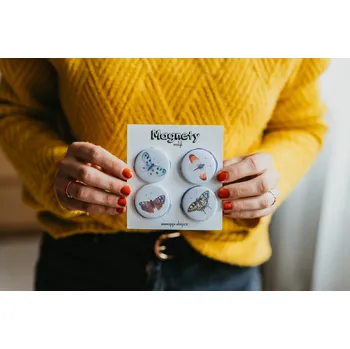 Dekorativní magnet ePiPí Sada magnetů - Motýli