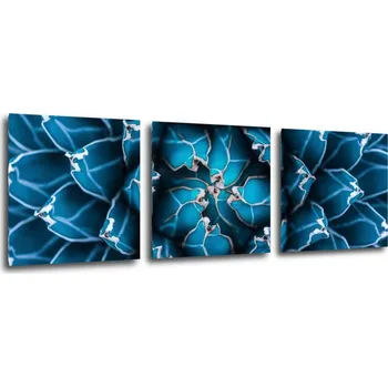 Obraz Impresi Obraz Modrý květ - 90 x 30 cm (3 dílný)