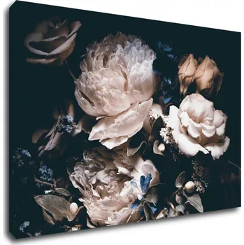 Obraz Impresi Obraz Pivoňky - 60 x 40 cm