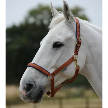 Vybavení pro koně Bucas Ohlávka Dublin Bucas, brown/navy PONY