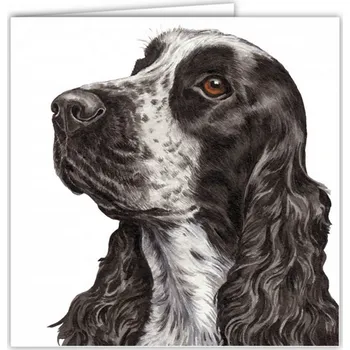 Přání v obálce Kokršpaněl, WD 16,5 x 16,5 cm (Blahopřání s obálkou s pejskem, psi, pes)