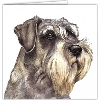 Přání v obálce Knírač, WD 16,5 x 16,5 cm (Blahopřání s obálkou s pejskem, psi, pes)