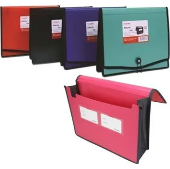 Archivační box Desky A4 na dokumenty 1kapsa KA301