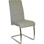 Jídelní židle Y 100 - šedá - SLEVA 3% s kodem radost25